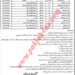District Education Authority Lahore Jobs 2018