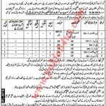 Government Post Graduate College Sheikhupura Job 2018